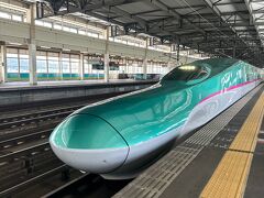 １２時５１分発のやまびこさんに乗って仙台で乗り換えて
はやぶさくんで東京駅へ戻ります
楽しかったよ岩手　今度は盛岡あたりでお蕎麦食べたいな
（切り離しも見たいし・・・）