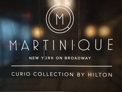 マルテイニークへ、チェックイン