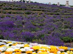 モアイとラベンダーと花手水

独特の世界観は、札幌で上位に入るおすすめスポットです。滝野霊園内にありますが、観光ゾーンと墓地ゾーンは分かれています。

南北線真駒内駅からバス、滝野峠もしくは滝野霊園下車