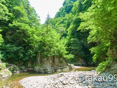 世界遺産「白神山地」