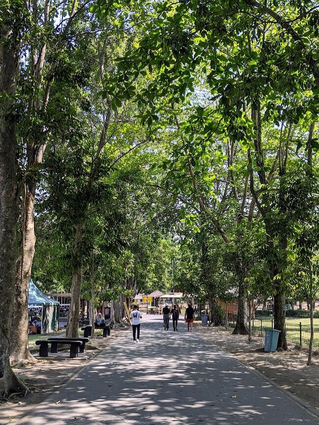 木に囲われた緑の中の道を通り抜けて3ヵ所ある仏教寺院遺跡へ！