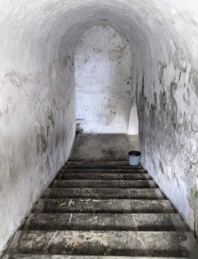 抜け道を突き進むとその先に地下へ行く階段がありました。階段の先には王宮と繋がっている秘密の地下通路があるとの事！<br />