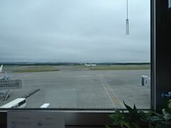 新千歳空港に車を置き、スーパーラウンジでアイスコーヒー飲んで休憩。
