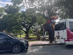 最後は涅槃像がある寺院をリクエストしました。他の遺跡とちょっと離れた場所にあるみたいです。観光客を乗せた象が歩道を優雅に歩いて行きます。ちょっとうらやましい（笑