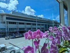 機体から出た瞬間、モワッと暑い！
そして、南国の空港の独特な匂いがしますね。海外みたい。
