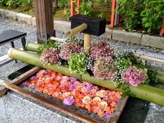 夏祭り開催中の白山神社に到着です、花手水が綺麗ですね