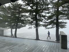 ウッドデッキのすぐ先は
海のはずなのですが
その気配すら感じられません