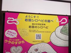観光の定番だからこちらへも。蛇いやだけど。