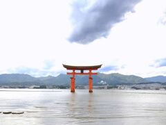徐々に潮が引いてきたので、海に入って、真正面から大鳥居を見ることができました。

大鳥居はなんと奈良の大仏と同じくらいの大きさとのこと。
青い空に朱色の鳥居が映えて、とっても綺麗です。
