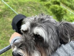 続いては大室山
こちらはタンデムのリフトです
お嬢さん、余裕の表情