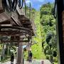 犬旅～静岡～