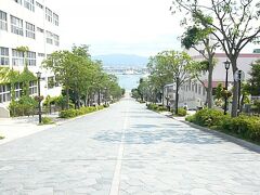 函館 八幡坂