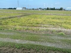 日本のデンマークと呼ばれる安城の街を走り、