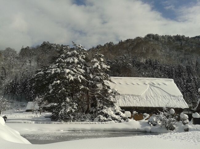 思っていたよりずっとずっと広かったです。