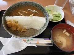 そして最大の目的はこちら、ダムカレー（500円）！

さすがにダム祭だけあって、列ができていた
12時半前から20分ほどの待ち時間
これより遅いと、この後品切れになっていたのでご覚悟を

重力式コンクリートダムのご飯の向こうのカレーには、あゆをイメージした煮干し、流木をイメージしたじゃがりこが浮かぶ
