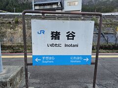 猪谷駅では↓の列車に乗り換え。