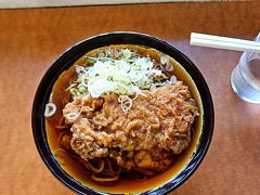 水戸駅に着いたらもうじきお昼だったので、まずは一度食べてみたかったお蕎麦屋さんへ。

JR水戸駅５・６番線ホームにある「そばうどん水戸」さんへ。
立ち蕎麦屋さんです。
これこれ。とり唐揚げそば。
唐揚げが大きくて美味しかった。

線路の保線の作業の方などが入れ替わりお昼を食べに来たりしていました。
私が入った時は3人しかお客さんいませんでしたが、食べ終わるころには6人くらいどやどやと入店してきて、あっという間に満員。
人気あるのね。

他にも水戸駅には改札前に日本酒飲み比べのできるお店や、改札出て左の駅ビルに広いお土産屋さんがあったり、かなり賑わっていて大きい駅。
納豆と干し芋が名産のようです。
納豆大好きだけど、最高気温30度超えのこんな日に納豆を持ち歩けないので、娘へのお土産は干し芋にしました。
いろんな品種のお芋の干したのがあったのですが、シルクスイートをチョイス。
おうちに帰って私も食べたけど、素朴で自然な甘さでほんとに美味しかった。

なんだかこれも美味しそうなコーヒー屋さんの「サザコーヒー」でアイスコーヒーも購入し、美食三昧。