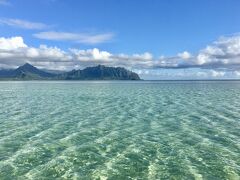 天国の海ツアー(2)

天国の海には干潮から2時間後に到着しましたが，奇跡の白浜の陸地は現れていませんでした。でもウミガメとの遭遇率はとても高いです。

カネオヘ沖，モクオロエ島の潮汐表はこちらから。
https://www.usharbors.com/harbor/hawaii/mokuoloe-hi/tides/
この日は05:27に干潮，13:38に満潮でしたが，写真の撮影時刻は07:35です。