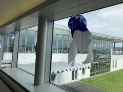 通路にぶら下がっている柳井の金魚提灯は珍しい青。
柳井の金魚提灯は赤なんだけど。