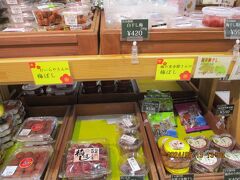 博物館に1時間はいたかも。道の駅で野菜と梅干を買い（梅干しの種類がとても多い）