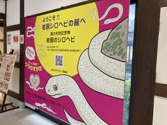 ロープウェイで早々に山を降り、次はシロヘビの館へ。