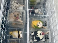 【セントラルフェスティバル（センタン）サムイ】

写真：なんだか、写真が非常にリアリティがあったので、興味が湧き、冷蔵庫の中を覗いてみた...