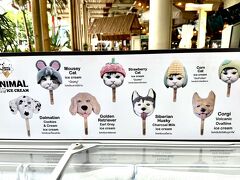 【セントラルフェスティバル（センタン）サムイ】

このセンタンの一階の奥に進むと、大きなフードコートもあるし、その先には大きな中高級スーパーマーケット（TOPS）もあるので、レストランで食事するのも良し、TOPSで食材を買い込んで、ホテルで食べるも良し、このモールがある事で、観光客の食事やリラックスの方法も選択肢が増え、本当に過ごしやすい環境が整っている...事は間違いない...


写真：おっ??...なんじゃ、こちゃあ～!!...アイスクリームか？...