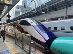 早朝の東京駅にやってきた。
往路はE3系つばさで出発します。
この無骨な前顔は嫌いじゃないよ。