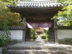 次は瑠璃光寺からは車ですぐの場所にある龍福寺へ。もともと大内氏の館があったところに立つお寺で、大内氏滅亡後に義隆の菩提寺として建てられました。