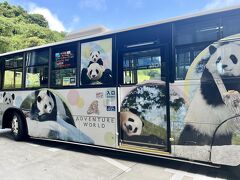 かわいいパンダバス。車内で２日間のフリー乗車券を購入します。次の停留所、アドベンチャーワールドで下車するファミリー多数。