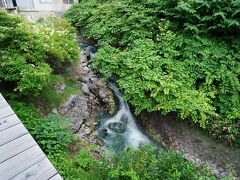 高湯通りを下りきった場所に、『どんどんびき』と呼ばれる小さな滝がある。温泉と水が混ざり合った酢川が作り出したものだ。