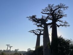 45分ほど走るとここで降りる、と言われ降車。