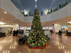 ＜羽田空港＞

羽田空港のクリスマスツリー。
こうして99回目の海外旅行が終わりました。

あっという間だった2023年のホノルルマラソン＆ついでにWDWとNY旅行。
無事に楽しく過ごせました。
お休みをくださった職場の皆さま、家族に感謝です。

今、この旅行記を書いているのは2024年7月パリです。
このパリオリンピック旅行で海外旅行100回目になります。

そして101回目は2024年秋のベルリンマラソンからシカゴマラソン。
移動時に南仏、スペインを巡るルートで世界一周を予定しています。
パリ帰国後に電車やホテルを予約します。

ここまで長い旅行記をお読みくださりありがとうございました。
これからもご一緒にお付き合いいただけましたら幸いです。
