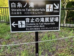 まだ7時頃。せっかくなので人出が出る前に滝を散歩します。