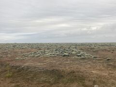 バスで走っていると突然現れた光景。なんじゃ、これは!?
苔です。
エルドフロインと呼ばれる1783年に起きたラーキー大噴火によりできた広大な溶岩原です。
溶岩原に着生した苔がふっかふかになるまで厚みを増し、そして広大な範囲に広がっています。
ジャスティン・ビーバーが「I’ll Show You」のMVで、苔の上をごろごろと転がったことで問題になった場所だそうです。