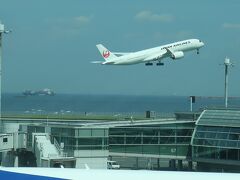 JAL機ていくおふ