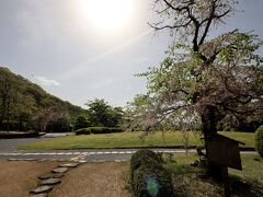 逃げ回りながら、はたと気づきました。
帰りは、本竜野駅 10時42分発の電車に乗る予定。
となると、ここを何時に出るんだっけ？

時計を見ると、10時15分。
駅まで歩いて35分…。
うそ、間に合わない Σ(￣ロ￣lll)

どうして、こんな大事なことを忘れていたのか。
自分のマヌケさに、あきれます。

10時42分に乗れなければ、次は11時45分発。
それだと、姫路でお昼を食べる時間がない (ﾟДﾟ)

グーグルマップを見返すと、本竜野駅そばにスーパー「マックスバリュ」を見つけました。よし、お昼はここで買いこもう。