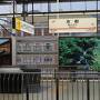 フリーツアーで東京＆千葉へ♪前編【かっぱ橋道具街・浅草寺・葛飾伊勢屋・江戸NOREN・イースト21】
