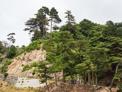 40分ほどで金華山に到着。
船では震災時のお話しや、女川の話しが聞けて勉強になりました。
高さ43mの島を津波が乗り越えた話や、女川には農業従事者がいなくて漁業関係者ばかりという話が印象的だった。