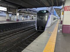 帰りもあずさに乗車。
桃狩り、温泉の組み合わせ、最高でした！