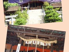 舟廊下を抜けると、
都久夫須麻神社（竹生島神社）の本殿。

こちらも豊臣秀吉が寄進した
伏見城の遺構です。

狩野光信筆の襖絵や天井絵など、
唐門に負けじと見どころ満載も、
内部は非公開。