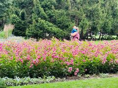 バラ公園