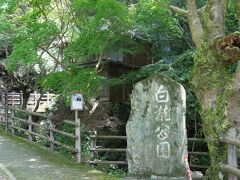 長浜の町から伊予灘と離れ肱川沿いに大洲へ向かって南下します。

途中の白滝公園によります。