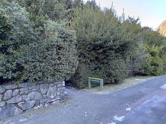 出発はゆっくり１０：３０なのでホテル周辺の散策に出ることに。マウントクックビレッジ内にある、1周10分のボーウェンブッシュウォークへ。
ホテルからは10分以上歩き、やや迷うが、観光案内所のような施設を見つけそこで道を聞いて事なきを得る。