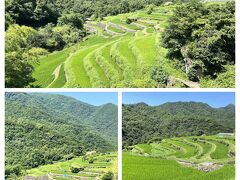 到着しました！！
中山千枚田の青々と育った田んぼの稲が見たくて(´▽｀)

https://youtu.be/Ug_mwY1EkxM
こんな感じでとっても素敵な棚田風景です。。