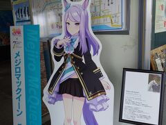 ウマ娘パネル∶メジロマックイーン