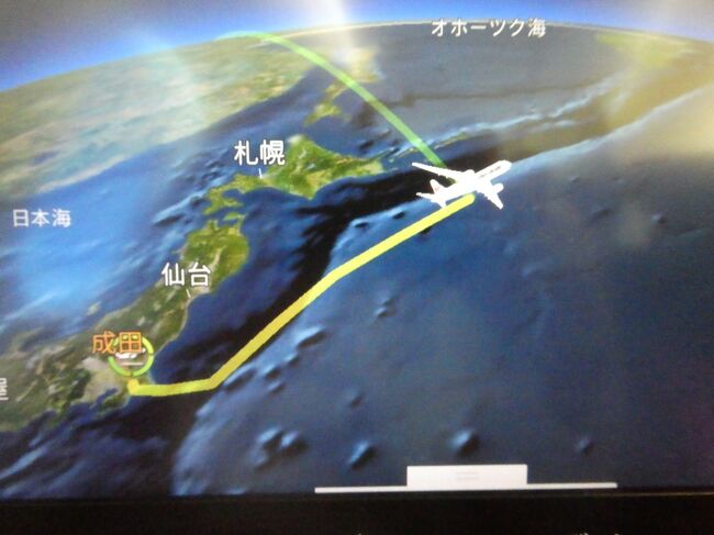 機体は北海道の東方海上を北東に向かって進んでいます。画面に表示された緑色の線が最短ルートを示していますが、最短ルートはロシア上空にありますので、JAL機は最短ルートを無視して北東方向に向かっていることが分かります。