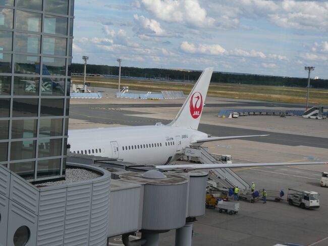 JAL機がゲートに横付しました。