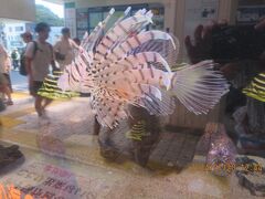 下田駅にいたカサゴ
「何これ？ナニコレ？」騒いでるオバちゃんに親切に指さして説明文を教えてくれた女の子、ありがとう！