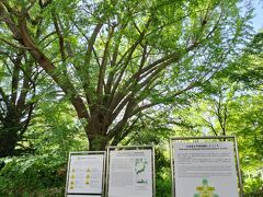 北海道大学植物園